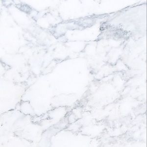 Meet your Posher, Jayden